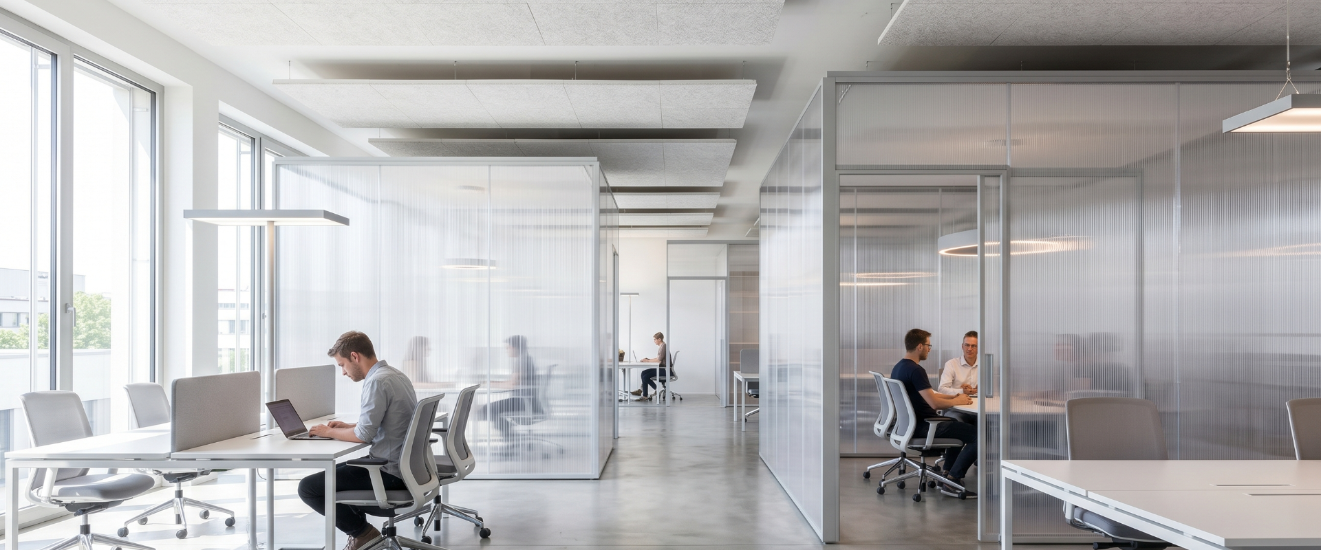 peregorodki polikarbonad